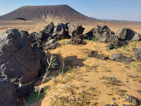 Volcanic cone above lava field