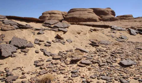 Sandstone outcrop pavement