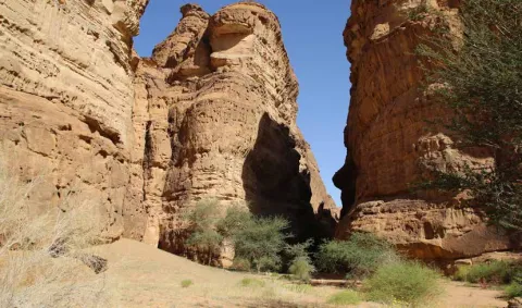 Sandstone canyon