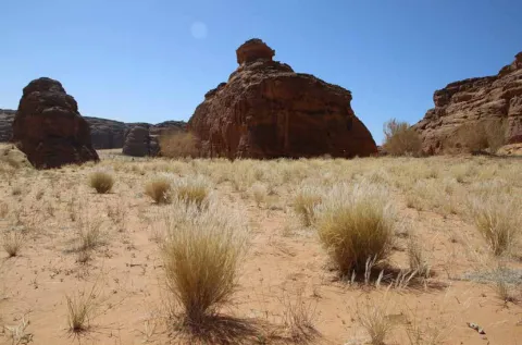 Sandy plain with sandstone outcrops