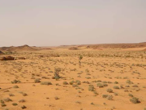 Open sandy plain