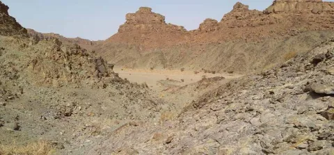 Low-altitude mountain foothills
