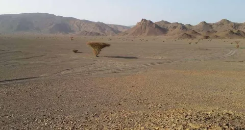 Gravel plain below mountains