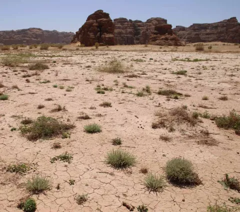 Dried ephemeral flooded depression