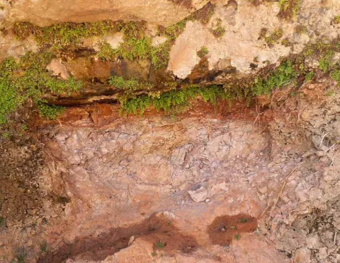 Seepage on a rock face