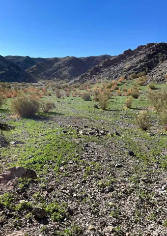 Mountain spring valley