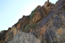 Cebatha pendula in Mountains and associated plains