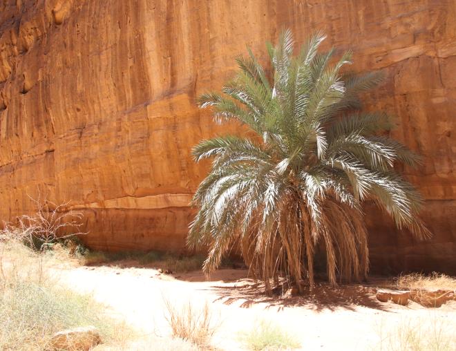 Whole plant